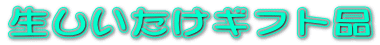 �����������M�t�g�i